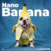 Nano Banana
